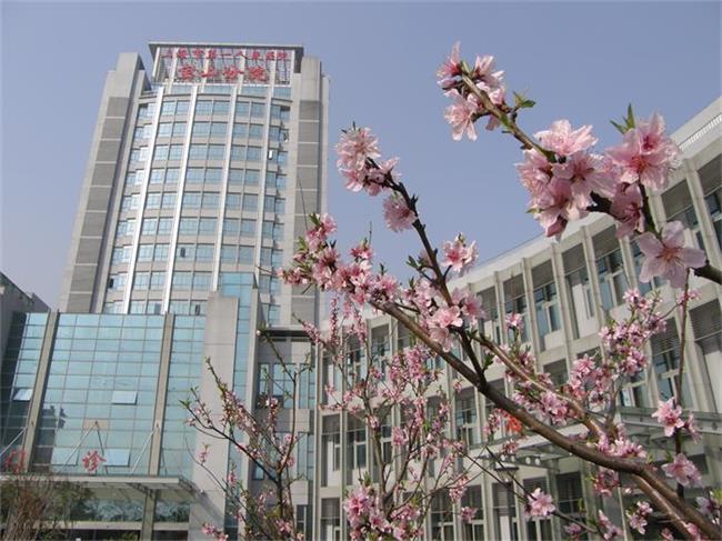 上海市第一人民醫(yī)院寶山分院.JPG